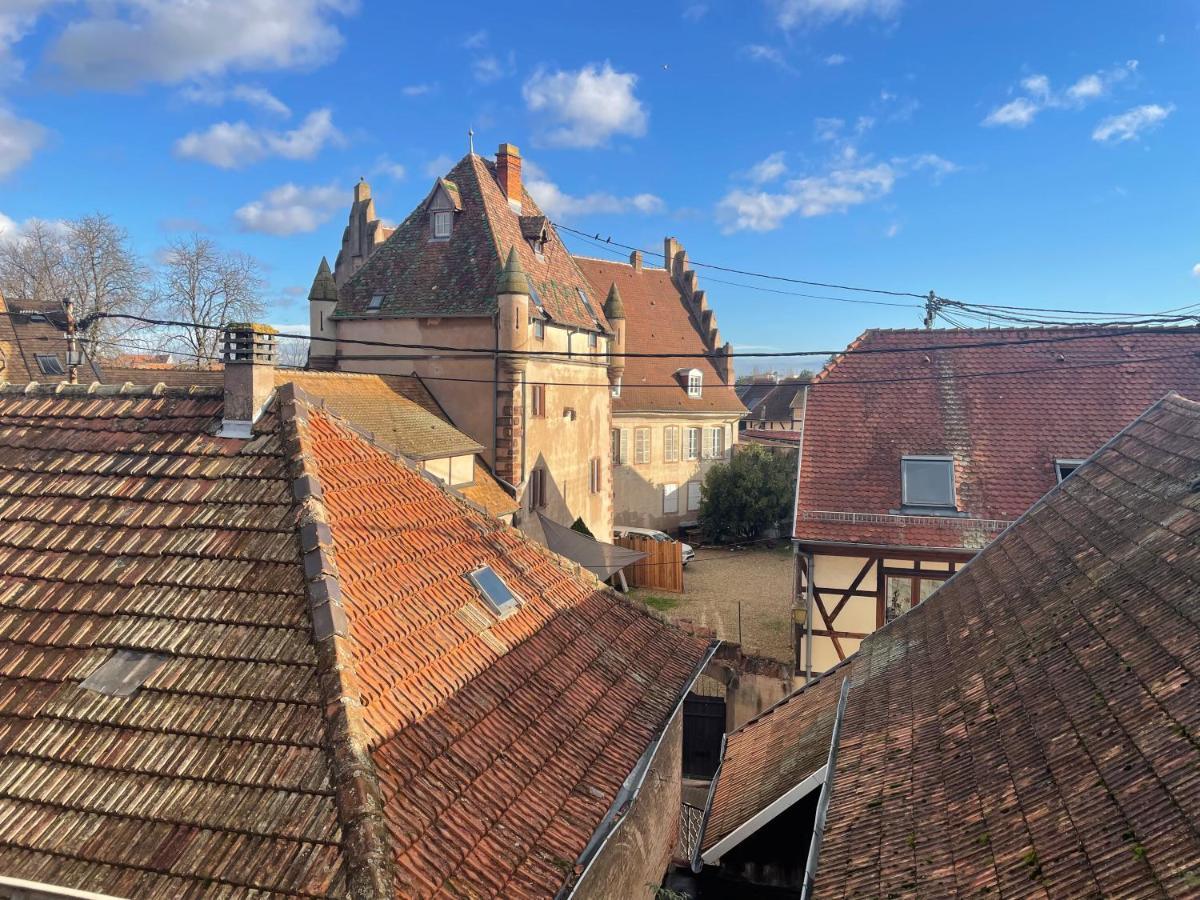 3 Pieces Centre Ville Ville Pittoresques Parking Gratuit A 5 Minutes A Pied Obernai Bagian luar foto